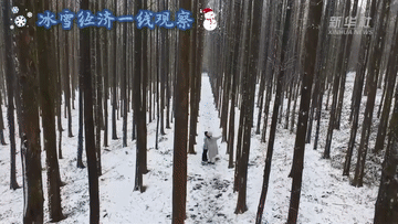 冰雪经济一线观察｜共赴“冰雪之约” 冰雪经济持续升温