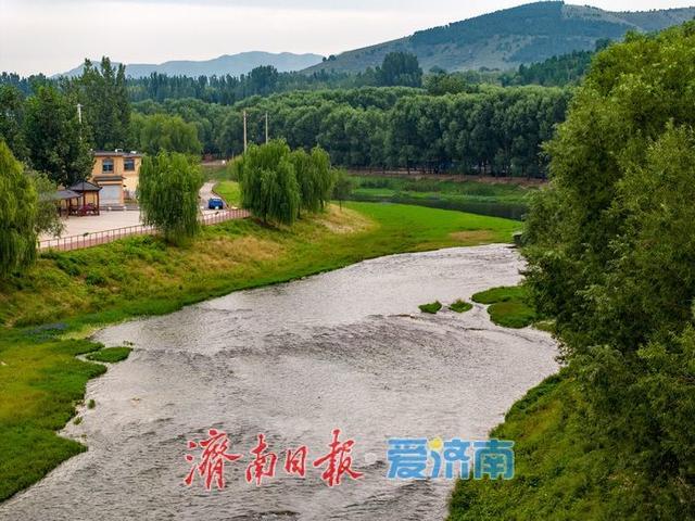 一年四季 泉在济南丨初秋济南玉符河畔：水清草盛景如画