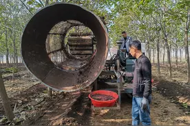 渑池：林下生沃土 “蚓”出生态致富路图片
