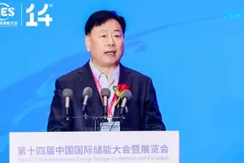 电源行业协会王泽深：中国新型储能产业的全球化将转入大规模发展阶段图片