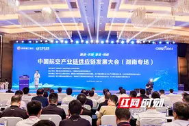 阵容豪华、聚焦产业链供应链，在湘江新区召开的这场大会不一般图片