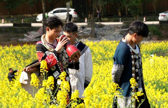 肇兴：春日限定 金色侗寨