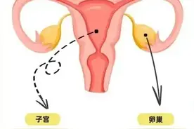 央视前主持人自曝：子宫全切！子宫切除后，对女性的影响有哪些？图片