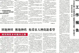 田里种粮，林下掘金！柘荣农人这样干！图片