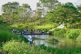 走进世界水日，广东10大网红碧道，你最喜欢哪一个？图片