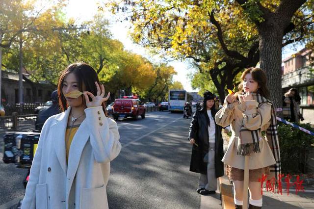 北京：年轻人在五四大街定格“秋天的童话”