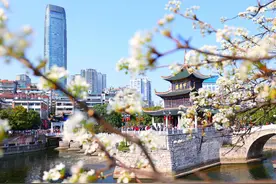 接待游客超69万人次！清明假期贵阳贵安文旅市场活力迸发图片