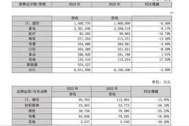 “国内供应链第一股”怡亚通转战清香白酒市场未捷图片