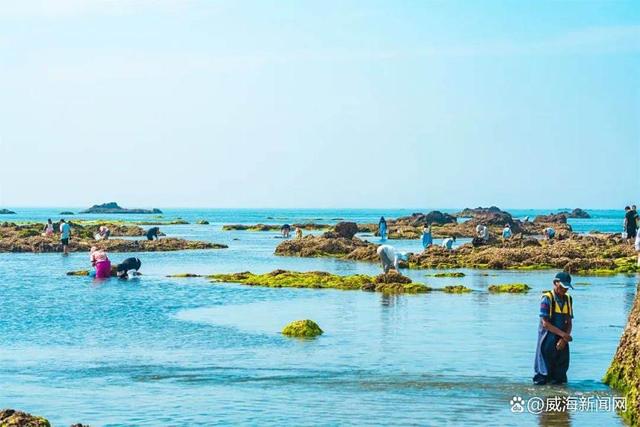 威海荣成那香海鸡鸣岛赶海项目上线：夏日亲子探海，大海馈赠触手可及