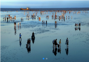 16+6，“走进申海”带你逛遍魔都海岸线