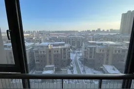 县城猛发购房新政，返乡置业卷疯了：到高速路口揽客、买房就送年猪图片