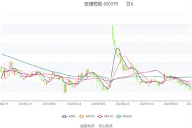 安通控股：2024年上半年净利润1.54亿元 同比下降45.12%图片