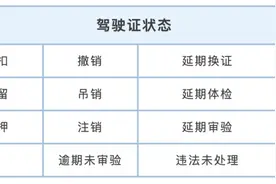 注销？撤销？吊销？这些驾驶证状态，你分清楚了吗？图片