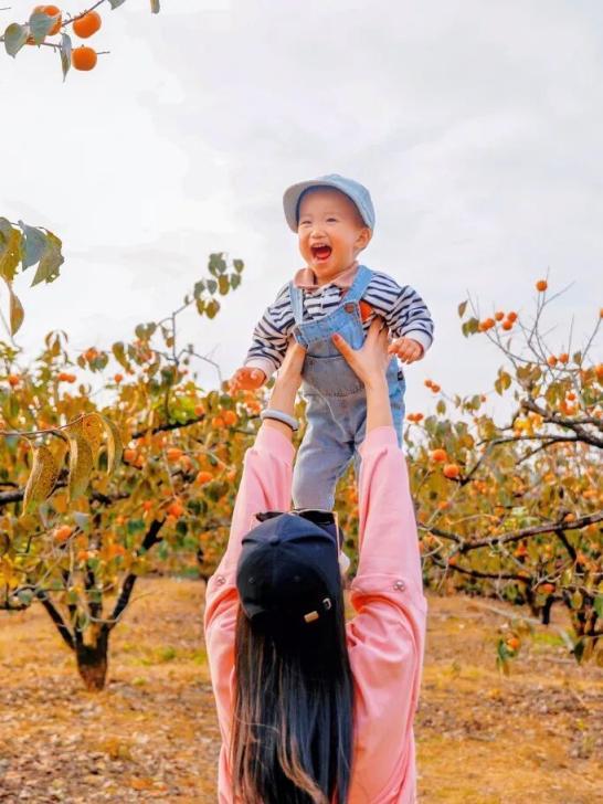 这座高铁站内，为啥众多旅客手拿树枝？