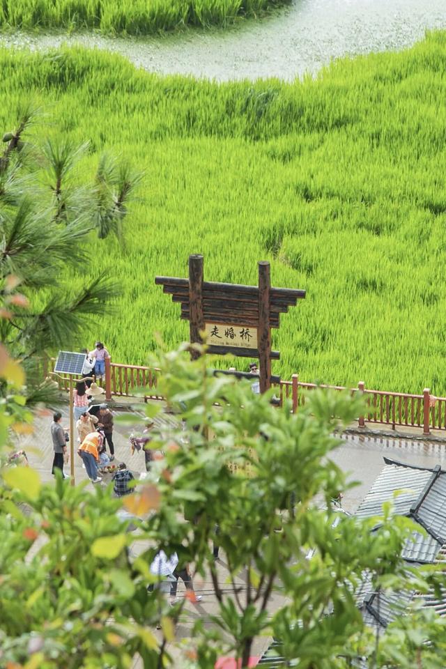 【冬季暖阳 凉山不凉】最全美食美景旅行攻略出炉！第一次来泸沽湖旅游必看！