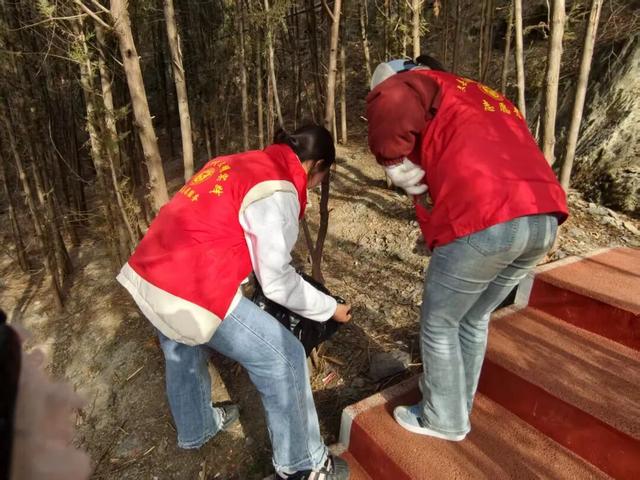 【青春护绿志愿行，环境焕新我先行】文县团委积极组织“返家乡”大学生参与环境卫生整治