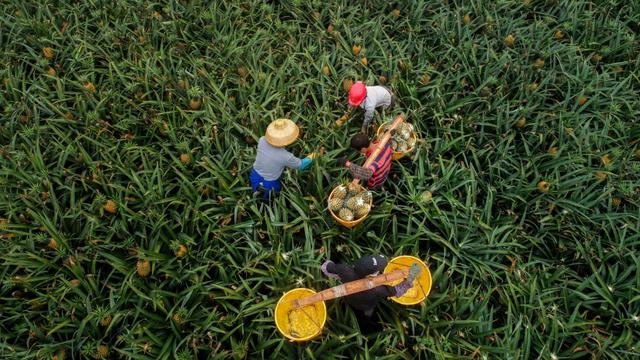 图集｜去中国大陆最南端，探寻“鲜美”湛江的“吃和远方”