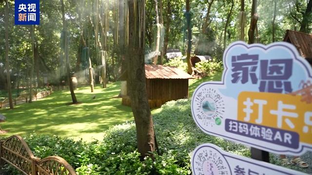 杭州飞来峰上演“拥抱大树”清凉派对