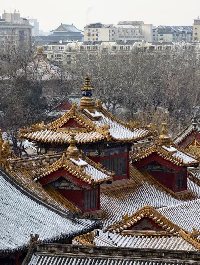 紫禁雪晴望雍和，一重金瓦一重天