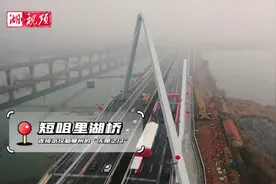 今日好稿丨“鄂”在武汉新城中图片