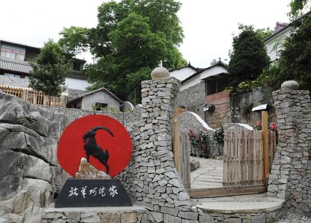 撸猪、攀岩……云南这些咖啡馆太会玩