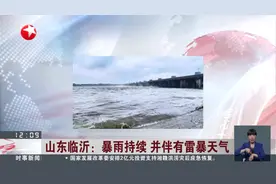 山东临沂：暴雨持续 并伴有雷暴天气 平邑县迎来集中降水 紧急转移低洼区域人员视频封面
