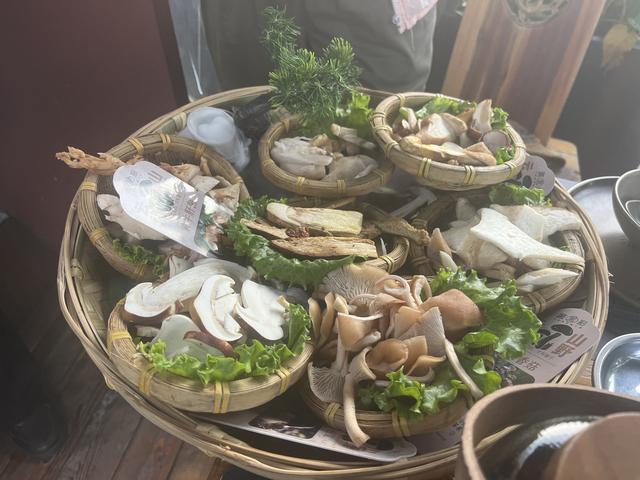 写点生活｜昆明避暑之菌菇篇