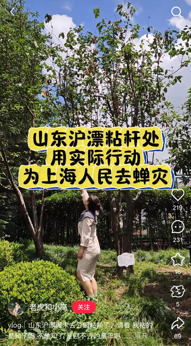 180元/斤的知了猴，快被山东人薅没了