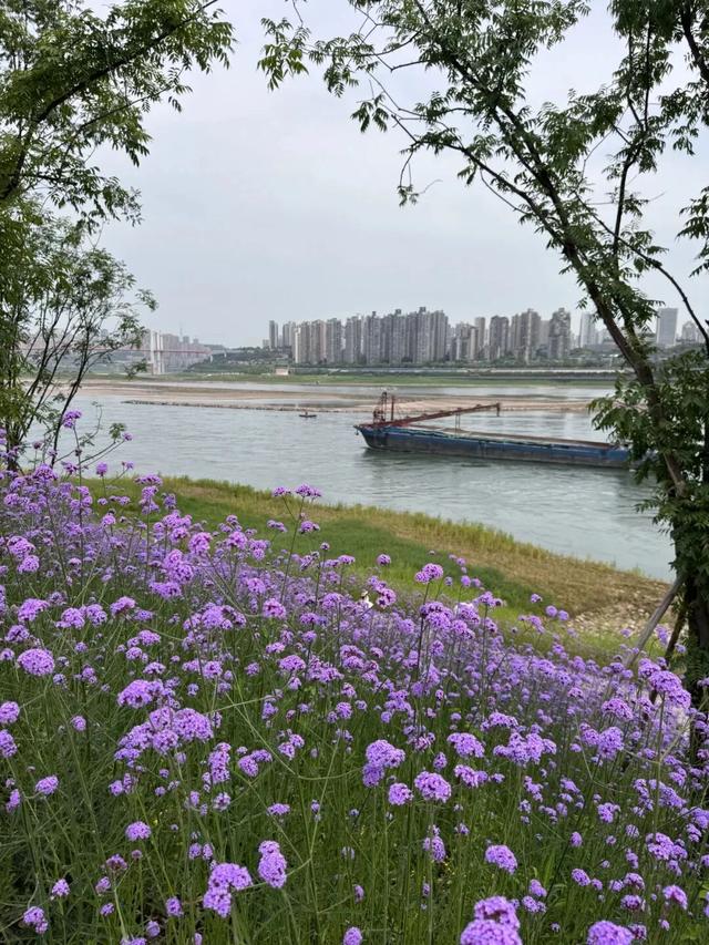 花海、涂鸦、芦苇……“仙气飘飘”的艺术宝地！出行正当季