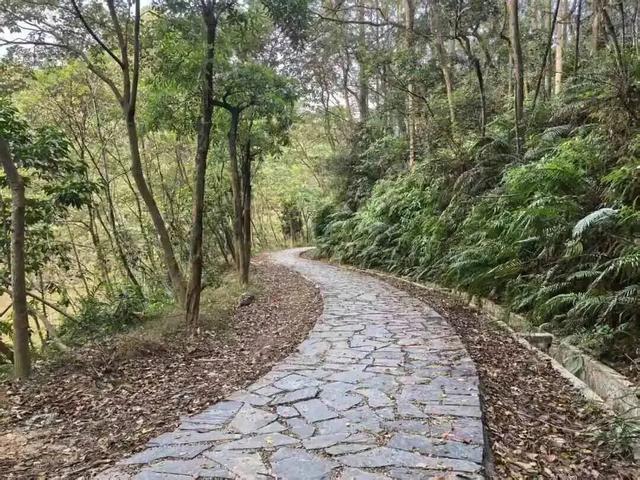 广州新森林步道即将开放，串联白云山、帽峰山