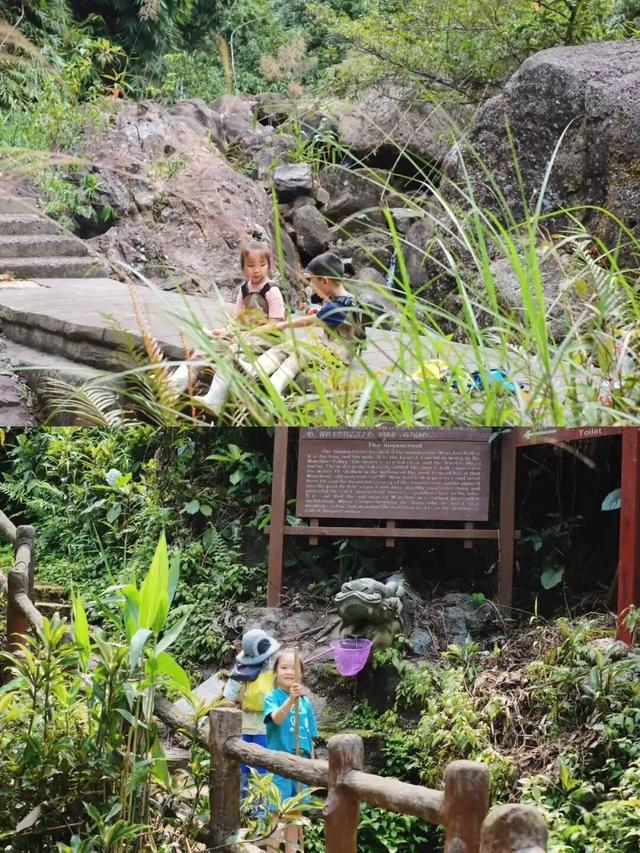 秋日亲子探险正当时！来八寨沟开启一场自然寻宝之旅