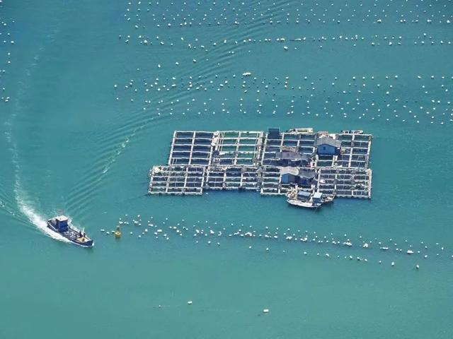 来福州，看海吧