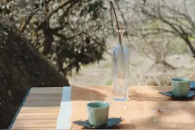 春分　｜与春共分花影茶色图片