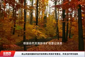 凉山州金秋国际农业开发有限公司采矿权登记，开采主矿种为地热视频封面
