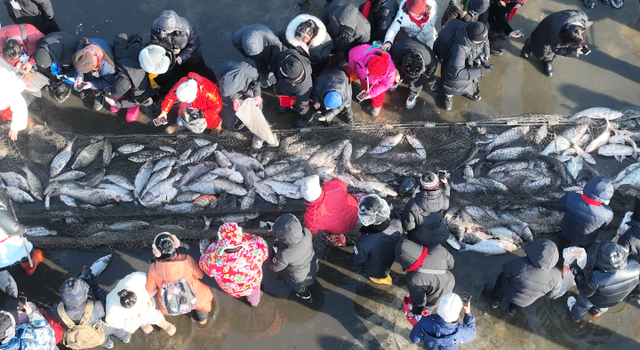 雪润绥化 冰绘华章