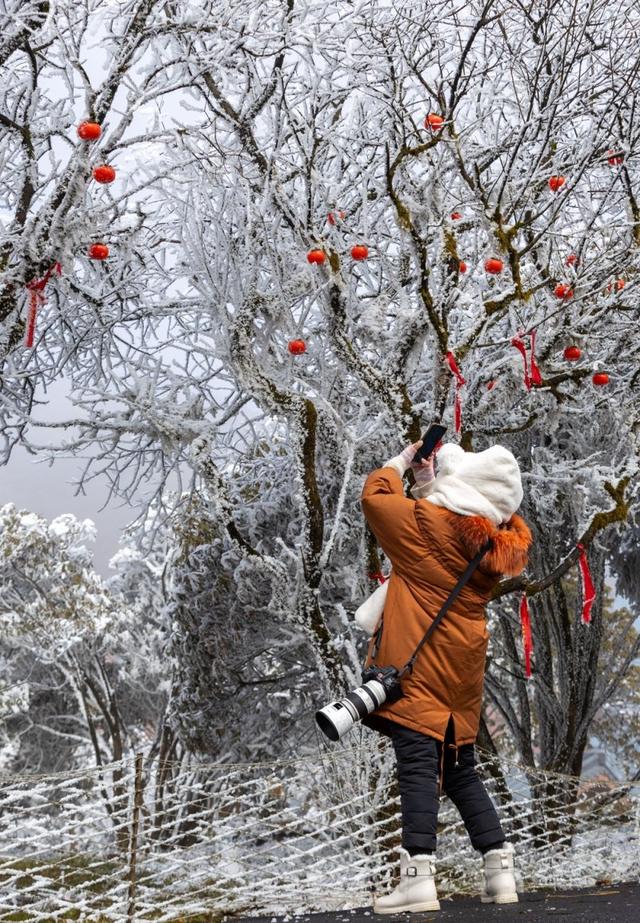 一秒入仙境！金佛山冬雪、日出、云海绝美同框