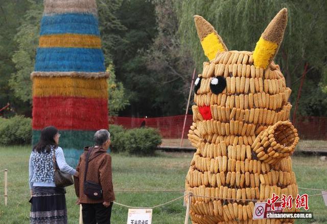 宁夏鸣翠湖巧打“南瓜牌”假期营造湿地新体验