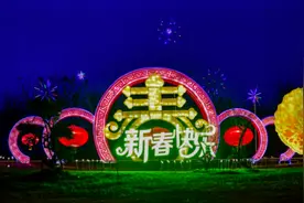 南岸区城市管理局：造氛围 美环境 保安全 让市民幸福过年图片