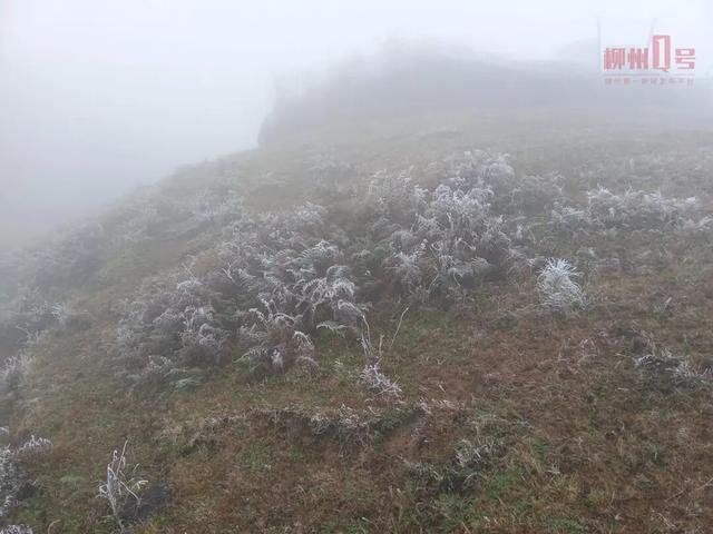 广西最低温-2℃！3股冷空气将轮番到场！