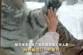 哈尔滨文旅回应火爆出圈：想让游客玩得开心！豆腐脑放糖，网友：那是尔滨的恋爱脑图片