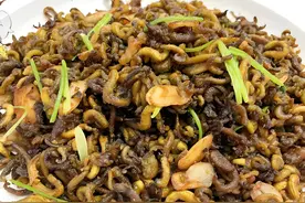 食用城市｜早知虫有信图片