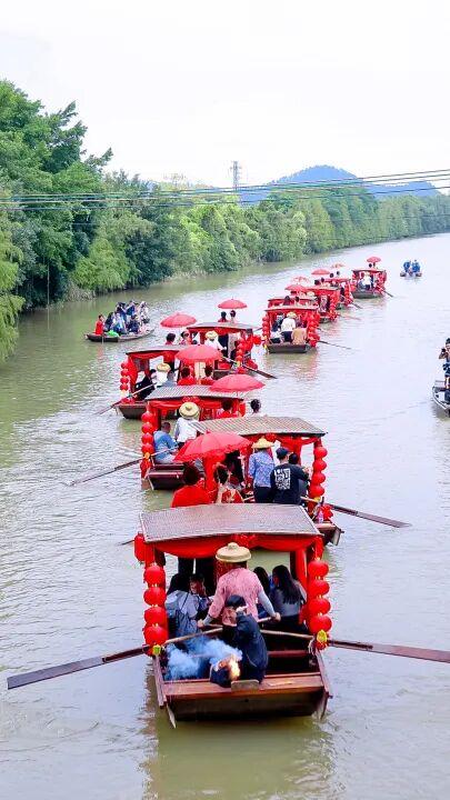 赏花撸萌宠、水果采摘、围炉煮茶……来珠海这里跨年，太精彩！