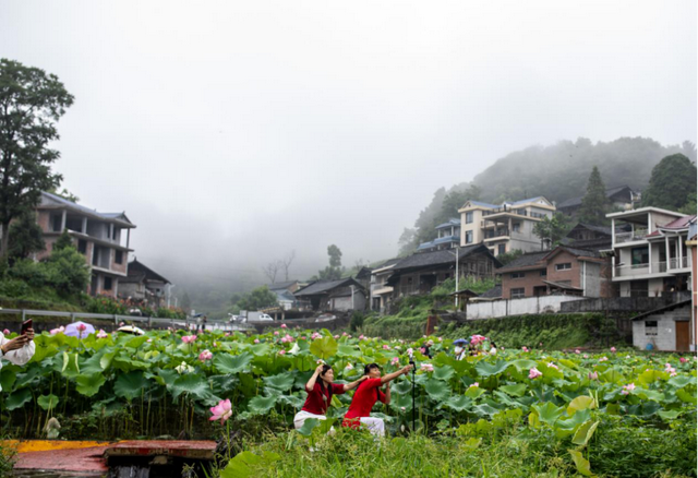 生态文学丨石胜福：走进栗溪