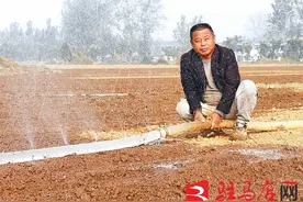 抗旱保苗 农民组团浇地图片