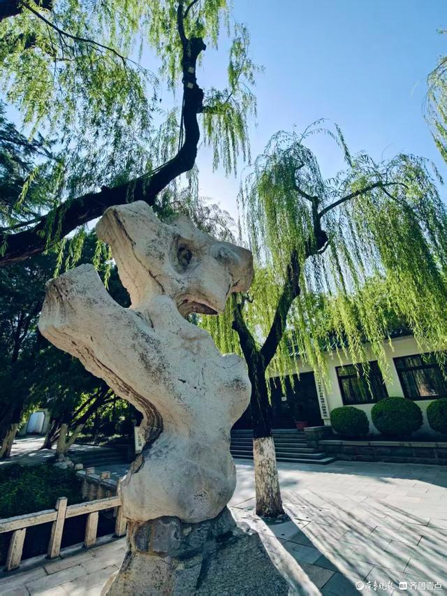 秋高气爽，趵突泉的美景信手拈来