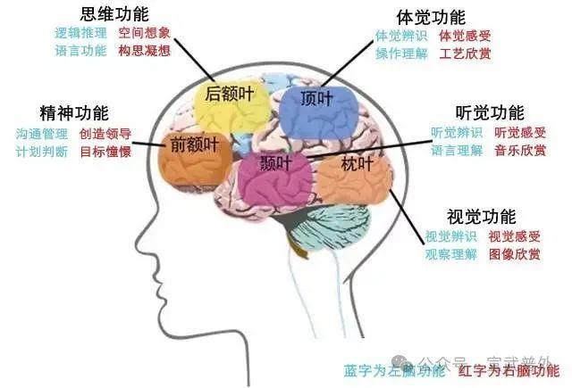 睡觉时身体为什么会突然抽搐一下
