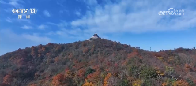 特色“秋日颜值”转化为“文旅产值” 各地“赏秋经济”热力十足