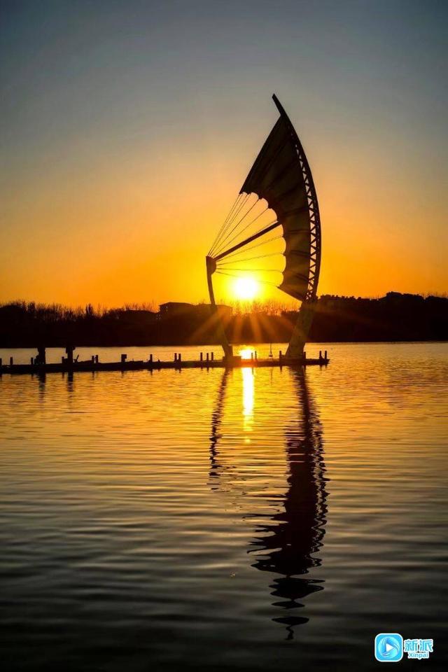 朝看芦苇夕望鸟，潍坊这里的冬日氛围感拉满！