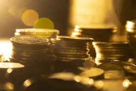 乘金价大涨“东风” 西部黄金去年业绩扭亏为盈图片