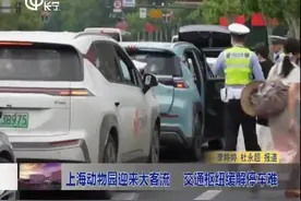 上海动物园迎来大客流 交通枢纽缓解停车难视频封面